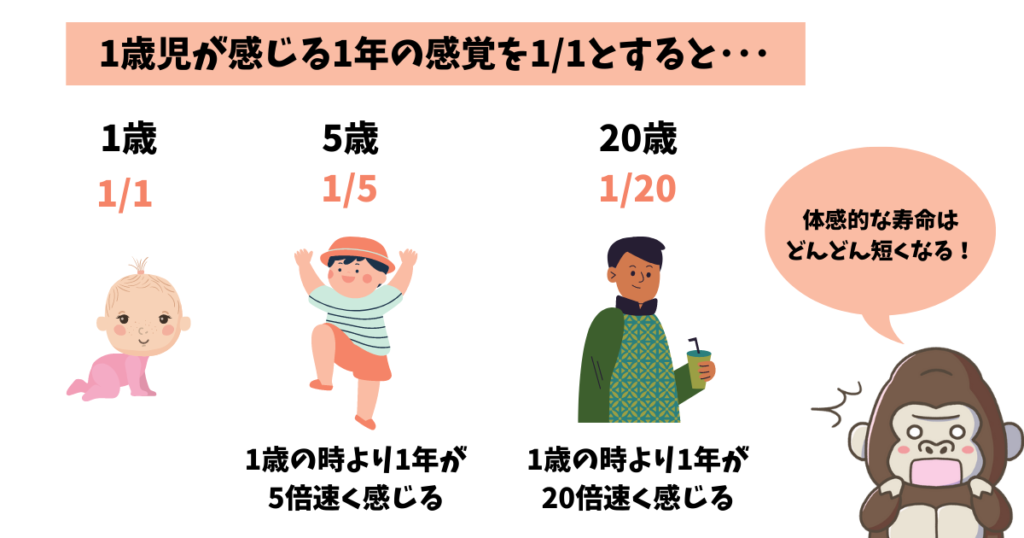 時間が経つのが早く感じる年齢は？